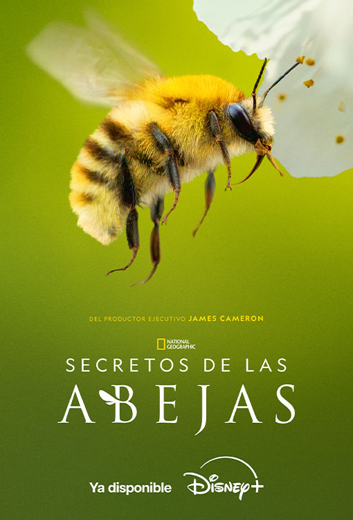 Portada de película